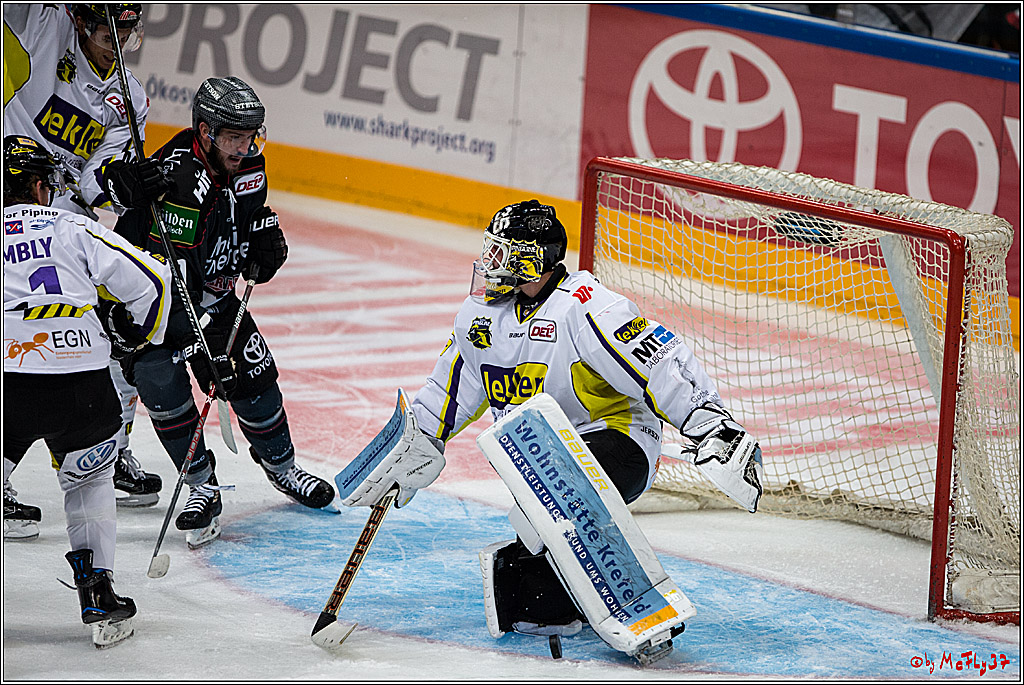 Koelner Haie - Krefeld Pinguine , 23.09.16(KW38)